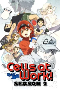 Cells At Work (2021) Season 2 Hindi Dubbed Web Series