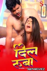 Dil Ruba (2024) S01 Part 2 SolTalkies Hindi Web Series