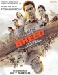 Bheed (2023) HQ Hindi Dubbed Movie