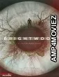 Brightwood (2023) HQ Telugu Dubbed Movie