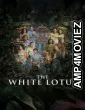 The White Lotus (2025) Season 3 EP06 Hindi Dubbed Web Series